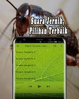 Masteran Suara Jangkrik Offlin screenshot 2