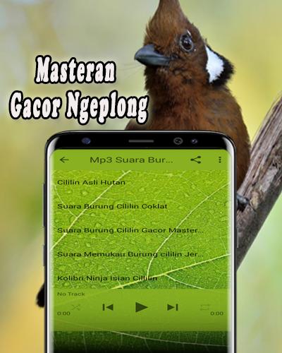 Master Burung Cililin Mp3 For Android Apk Download