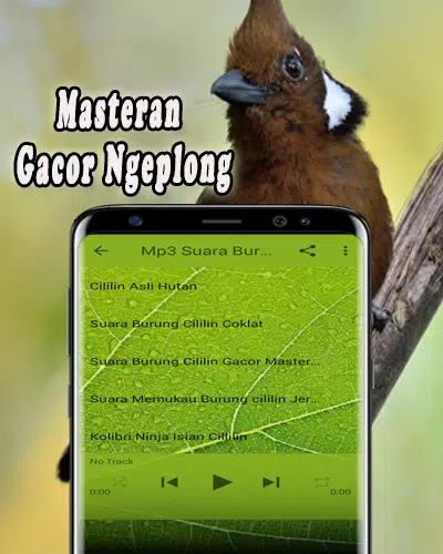 Master Burung Cililin MP3 APK for Android Download