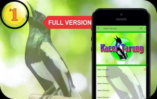 Pancingan & Masteran Kacer Mp3 Offline poster