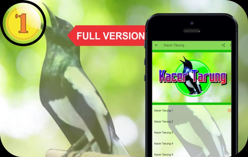 Pancingan Masteran Kacer Mp3 Offline For Android Apk Download