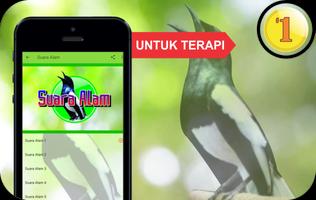 Pancingan & Masteran Kacer Mp3 Offline screenshot 2