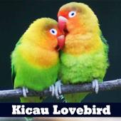 Kicau Lovebird untuk Melatih LoveBird icon