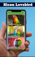 Kicau Lovebird untuk Melatih LoveBird captura de pantalla 1