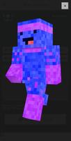 Ninja skins forminicraft poster