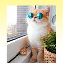 Cat Wallpaper APK