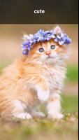 1 Schermata Cat Wallpaper