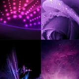 4K Wallpaper Asters APK