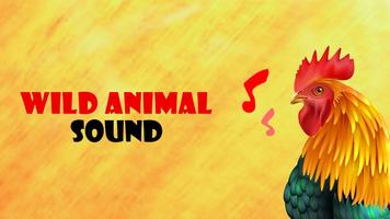 Wild Animal Sounds poster