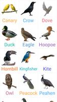 Birds Name with spelling and Picture 🐔 🐓 🐦 capture d'écran 1