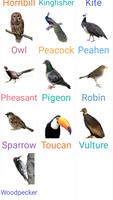 Birds Name with spelling and Picture 🐔 🐓 🐦 capture d'écran 2