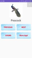 Birds Name with spelling and Picture 🐔 🐓 🐦 capture d'écran 3