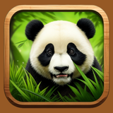 Learn Animals: Images & Sounds APK