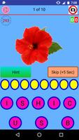 Kids Spelling Quiz 截图 3