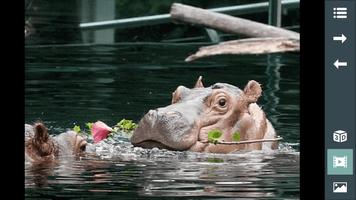 Animales para niños 3D: sonido captura de pantalla 2