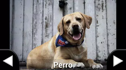 Descargar APK de Primeras palabras - Los niños