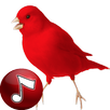 KidsTube: Kids Videos For YouTube APK