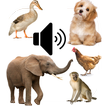 Animal Sounds App for Kids