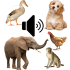 Animal Sounds App for Kids 圖標