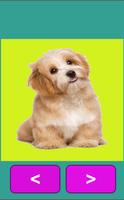 Animal Sounds App for Kids 스크린샷 3