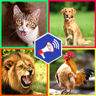 Animals Ringtone Plus -  Anima icon