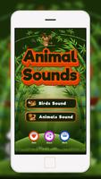 Animals Ringtone Plus -  Anima poster