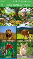 Animal Sounds Pictures Poster