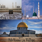 Holy Mosques Live Wallpaper icône