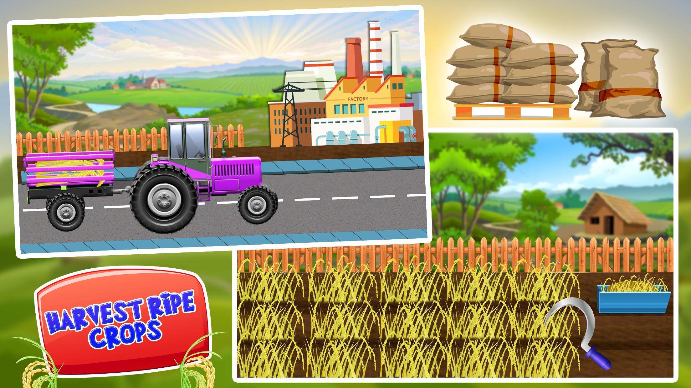 rice farm roblox