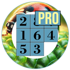 Puzzle Shift Pro icône
