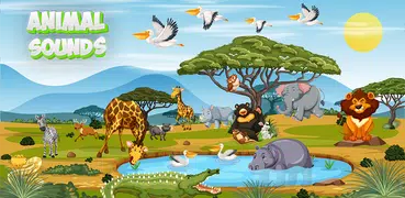 Animal Sounds : Learn and Play