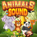 Animal Des sons APK