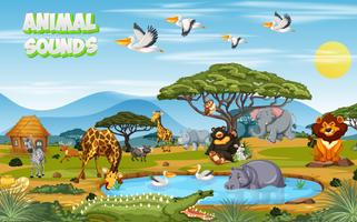 Animal Sounds : Learn and Play poster