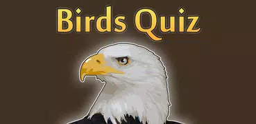 Birds: Quiz