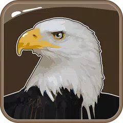 Birds: Quiz APK download