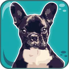 Dogs Breeds: Quiz APK download