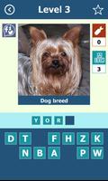 Dog Breeds: Quiz capture d'écran 3