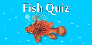 Fish: Quiz