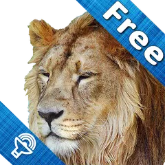 Kids Zoo, animal sounds & pictures, games for kids APK 下載