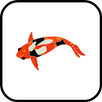 Koi Lock Screen APK