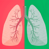 Respiratory diseases&Treatment
