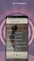 Myna Bird Sounds ảnh chụp màn hình 2