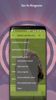 Ostrich and Emu Sounds capture d'écran 1