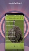 Ostrich and Emu Sounds capture d'écran 2