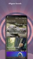 Alligator Sounds Cartaz