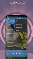 Anatidae Sounds स्क्रीनशॉट 1