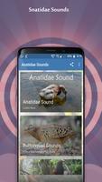 Anatidae Sounds स्क्रीनशॉट 2