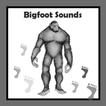 Bigfoot Sounds
