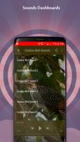 Cuckoo Bird Sounds captura de pantalla 1