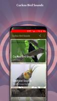 Cuckoo Bird Sounds captura de pantalla 3